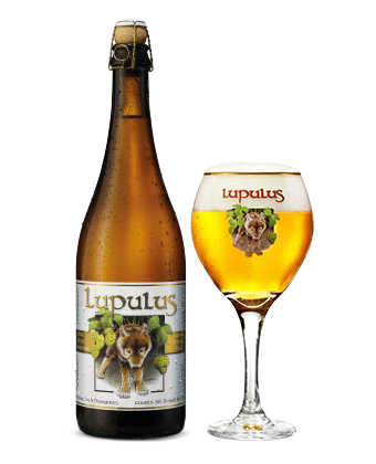 Blonde Lupulus - Belgische
