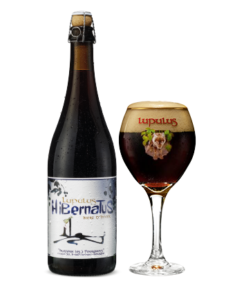 Lupulus Hibernatus - Bière Hivernale