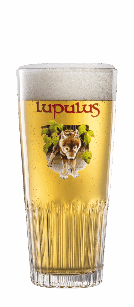 beer