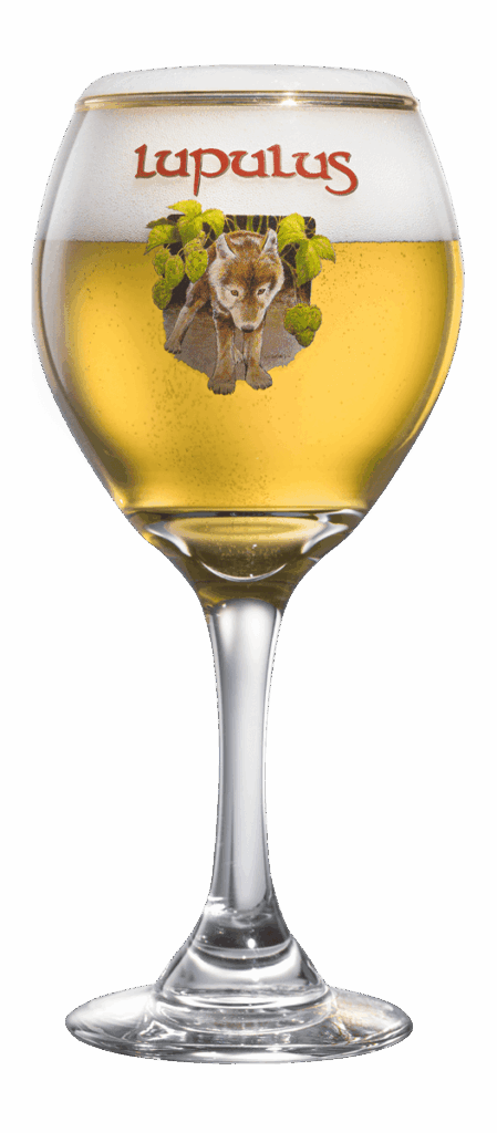 beer